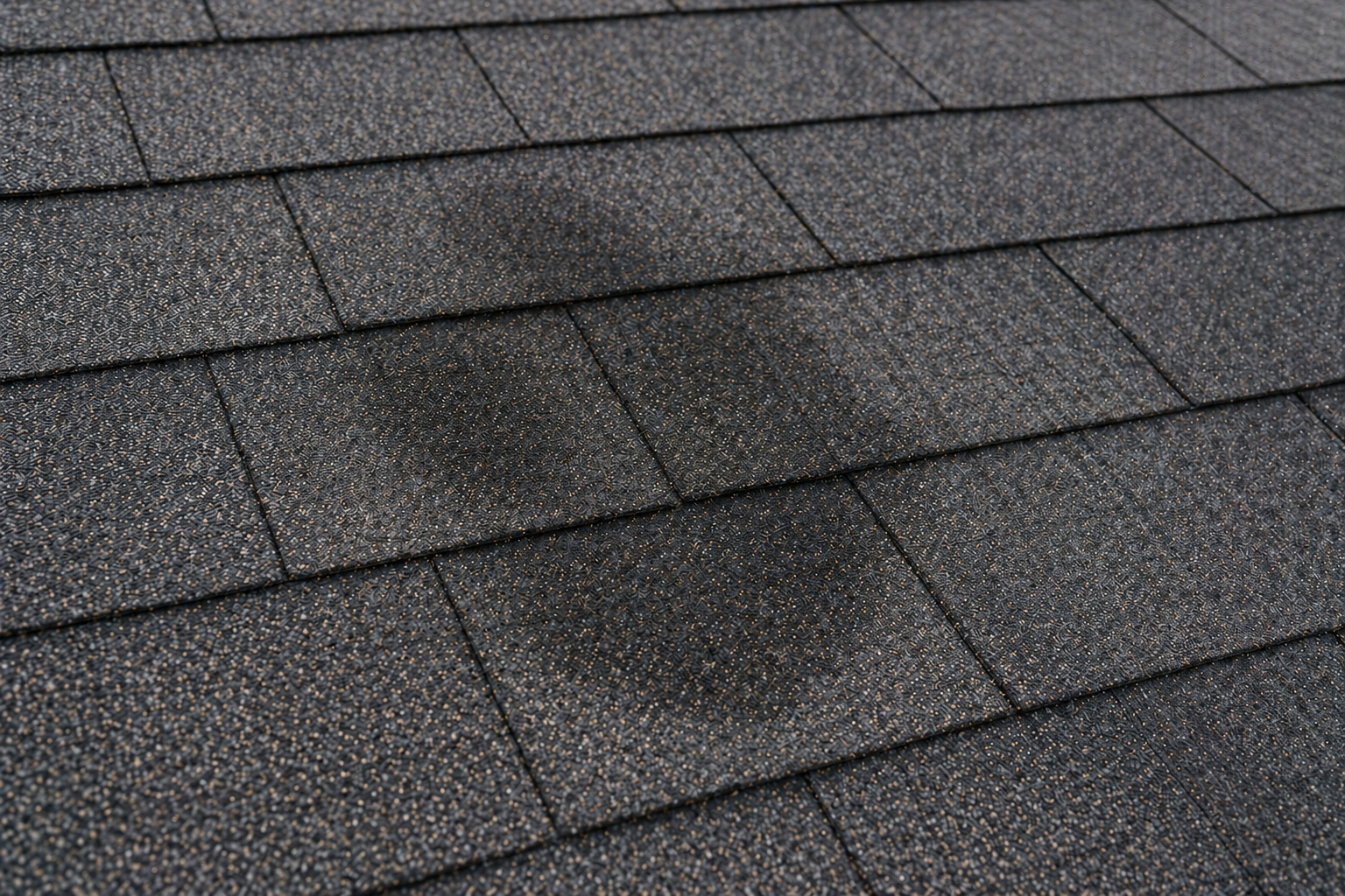 Subtle dark moisture stain on asphalt shingles indicating a hidden roof leak