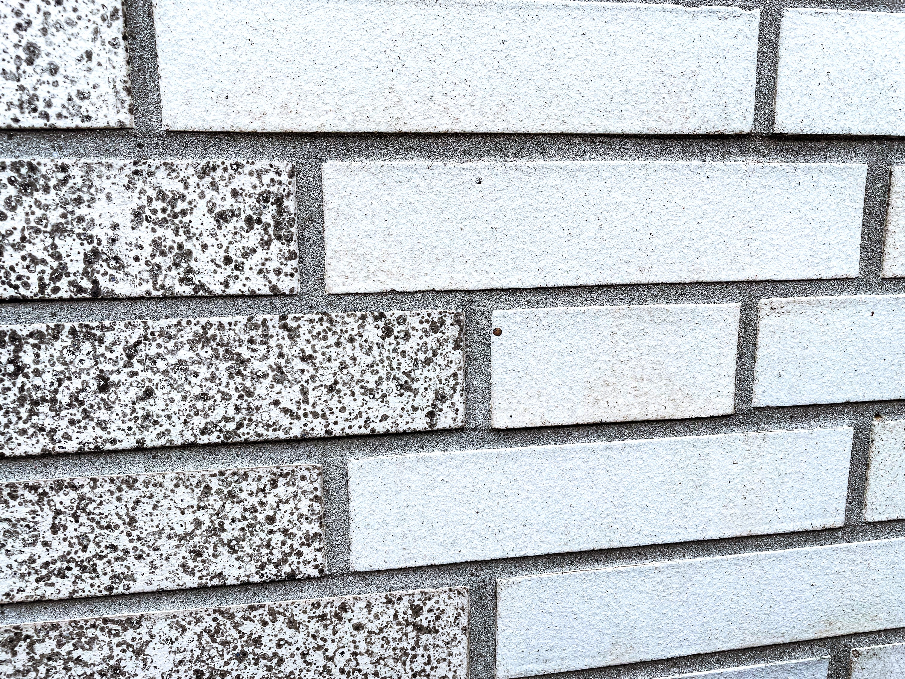 Close-up of a brick wall with alternating solid white bricks and white bricks speckled with black spots.