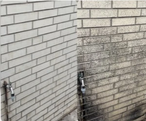 Close-up of a brick wall showing red and weathered bricks with light gray mortar.