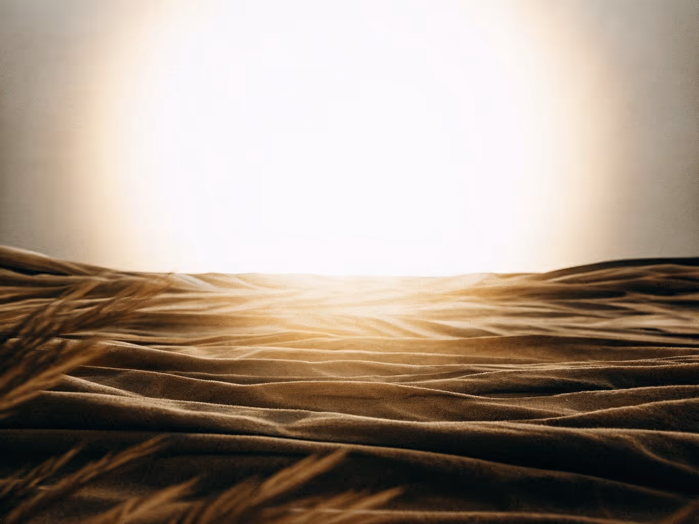 Sandwüste im Gegenlicht – warmes Sonnenlicht bricht über geschwungene Sanddünen und taucht die Landschaft in goldenes Licht.