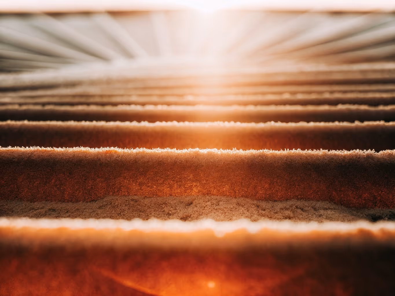 Nahaufnahme von mit Frost bedeckten Metallgittern bei Sonnenaufgang mit warmem Licht.