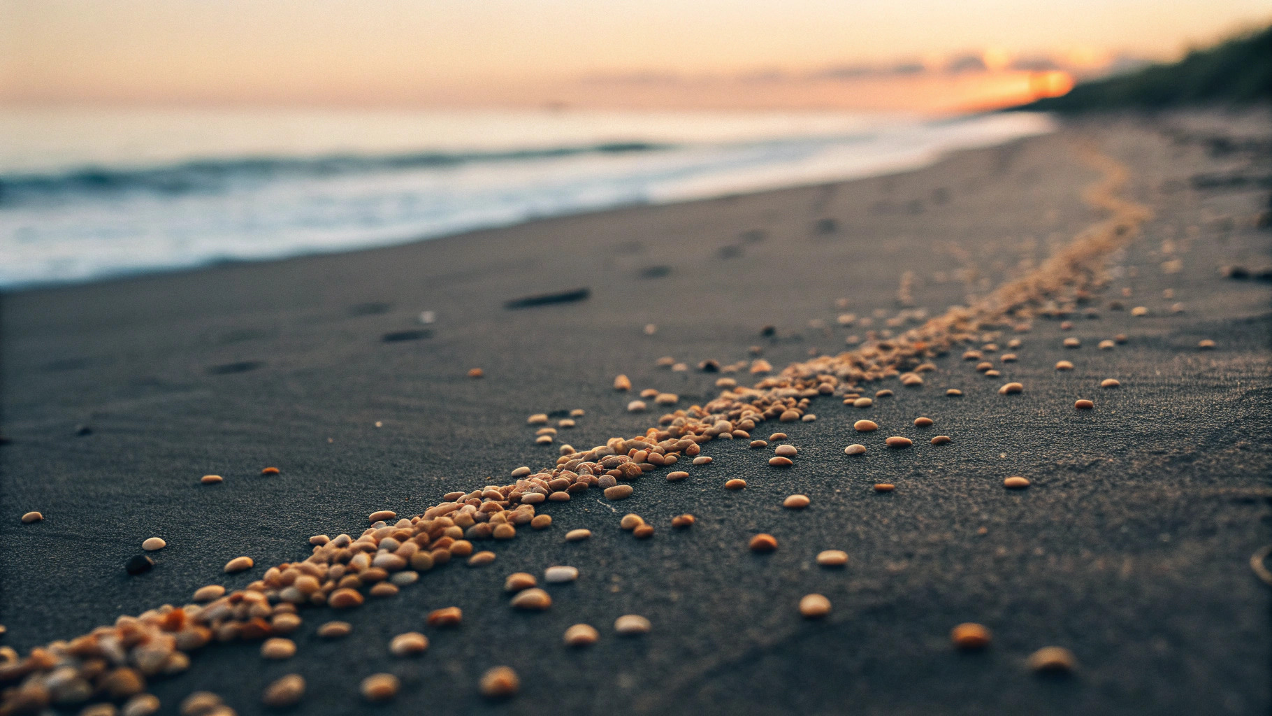 Sandkörner verstreut auf dunklem Sand am Strand im Sonnenuntergang.