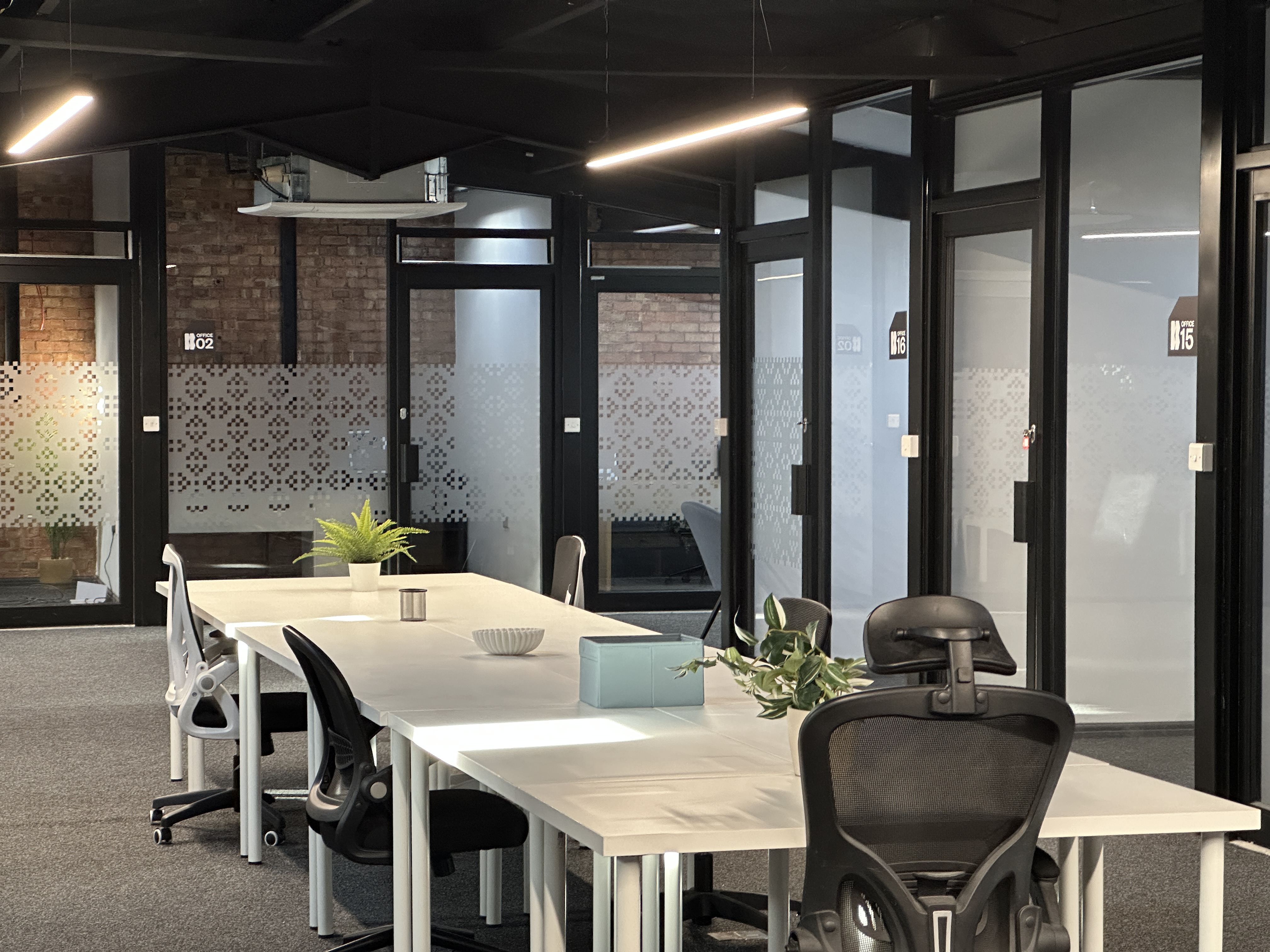Modern office workspace with white desks arranged in a row, black ergonomic chairs, and potted plants, enclosed by glass walls with frosted patterns.