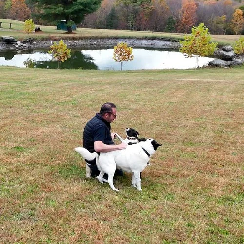 Jason Epstein, founder of Wag Creek dog rescue