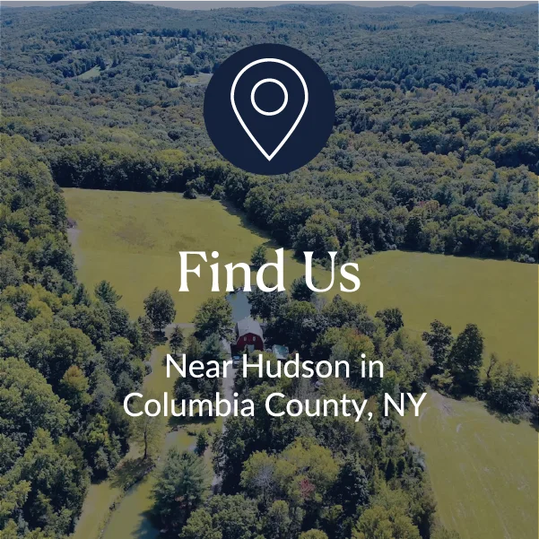 Location pin icon for finding Wag Creek's rescue location
