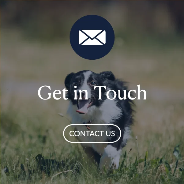 Location pin icon for finding Wag Creek's rescue location