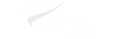 Logo Proboss avec un design stylisé à gauche et texte 'Since 2012' en dessous.