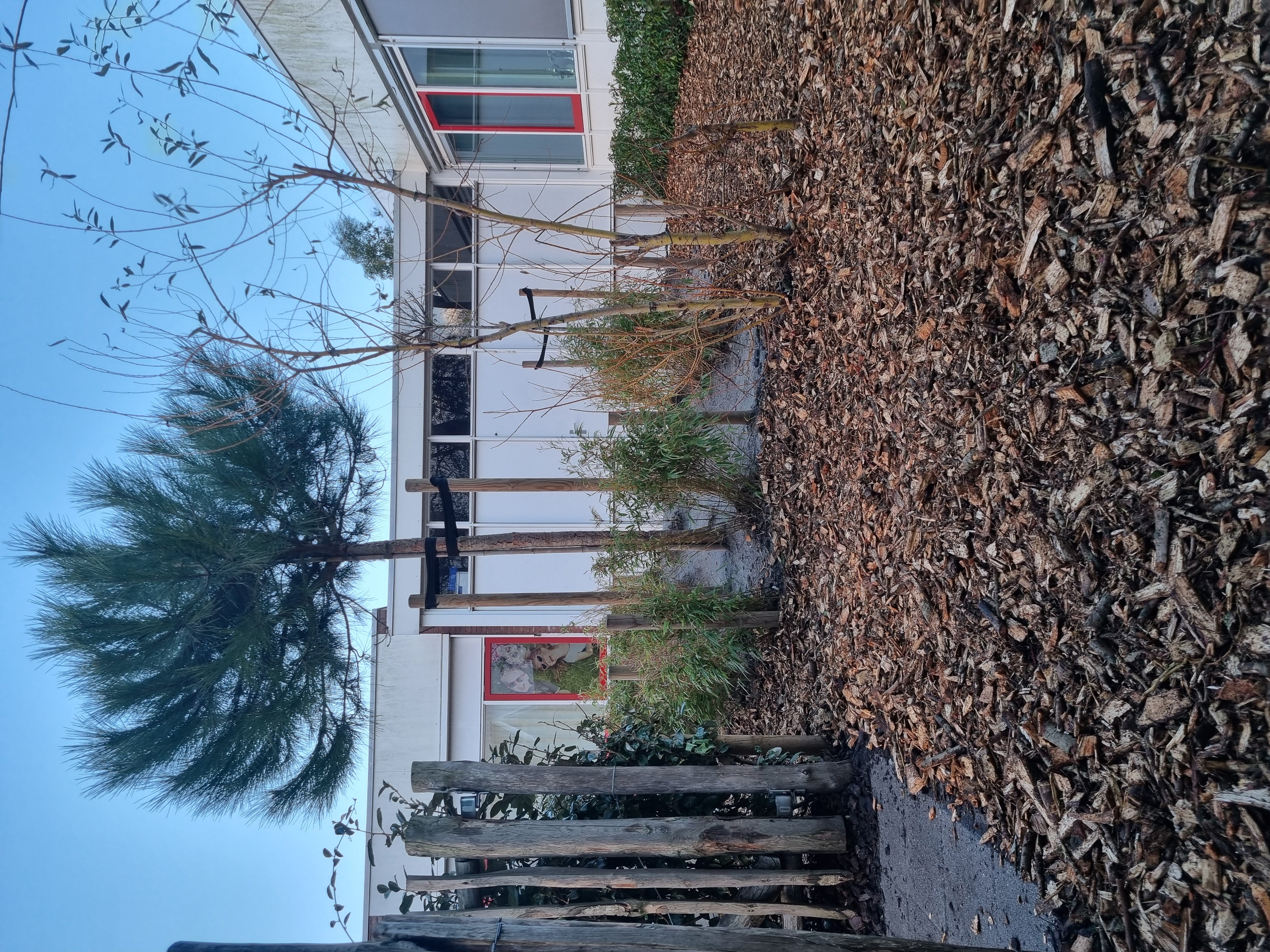 Bodem- en groeiplaatsverbetering voor gezonde boomgroei door Altena Boomverzorging