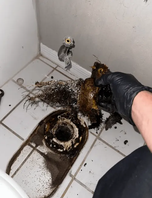 Hand wearing a black glove holding a clogged, root-filled toilet flange removal above a dirty tiled bathroom floor.