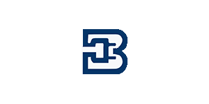Briggs Electric