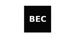 Building Electronic Controls