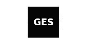 Global Experience Specialists