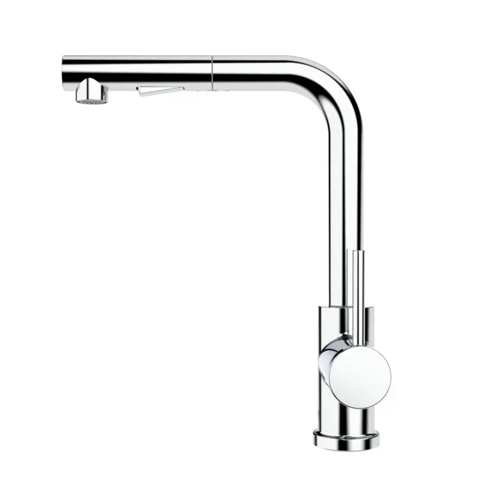 Kitchen Sink Faucet with Swivel Pull-Out Spout