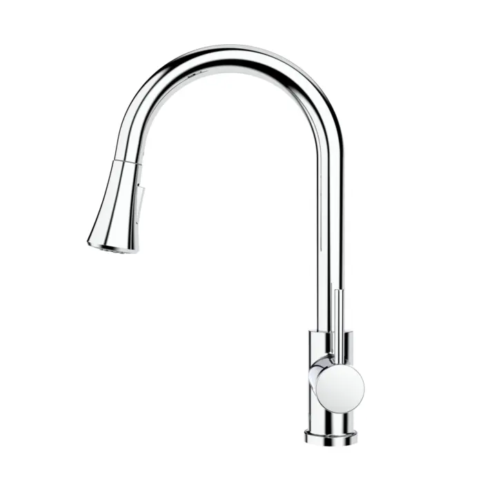 Kitchen Sink Faucet with Swivel Pull-Down Spout