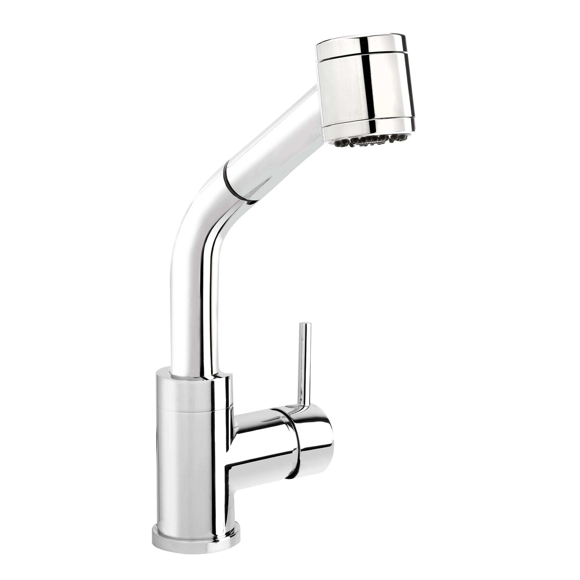 Kitchen Sink Faucet with Swivel Pull-Out Spout