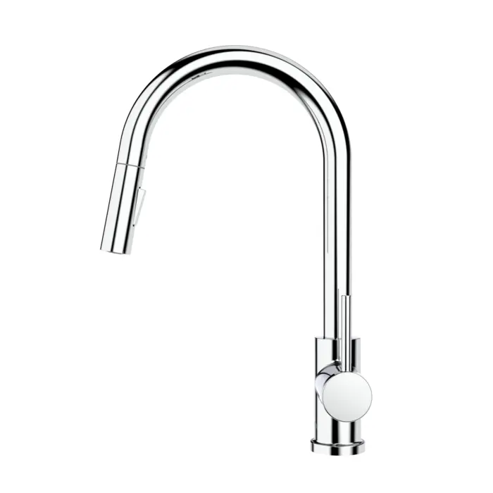 Kitchen Sink Faucet with Swivel Pull-Down Spout