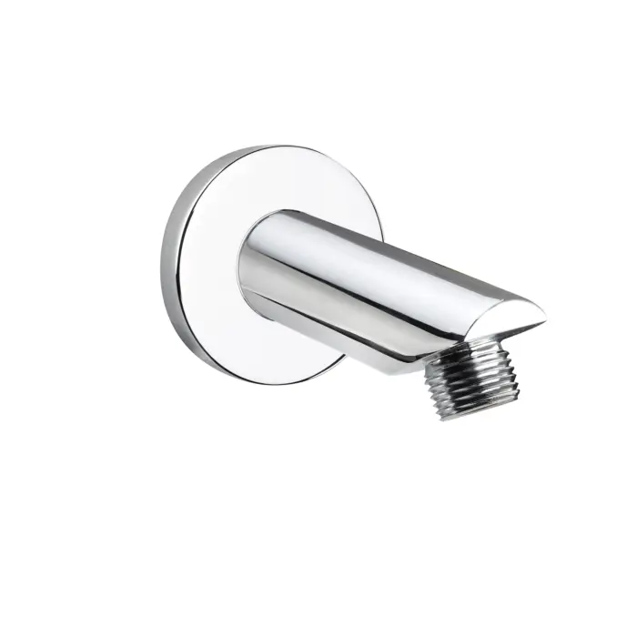 Shower Arm and Flange