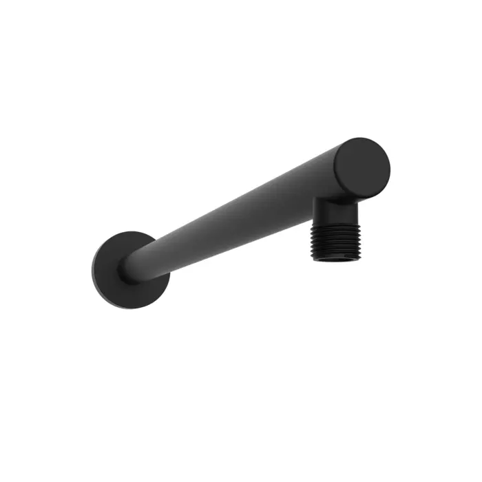 Shower Arm and Flange