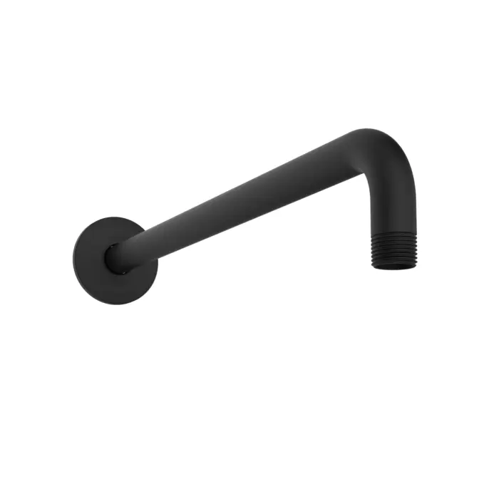 Shower Arm and Flange