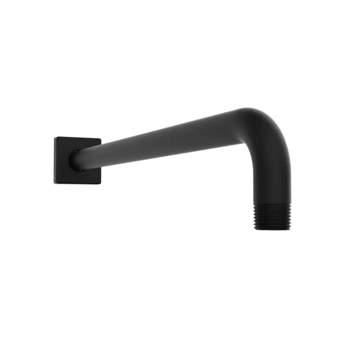 Shower Arm and Flange