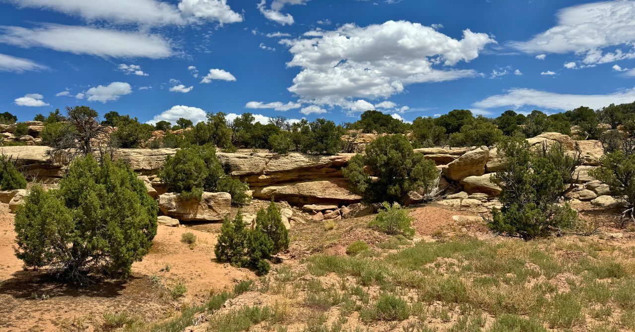 Blog Blog Image Wrap