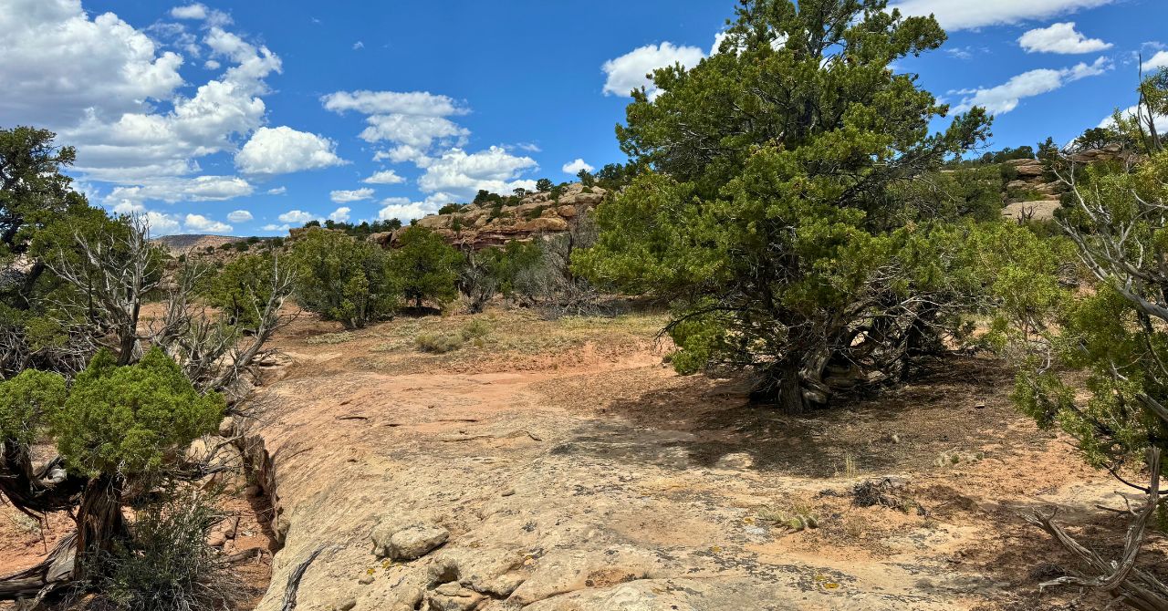 Blog Blog Image Wrap