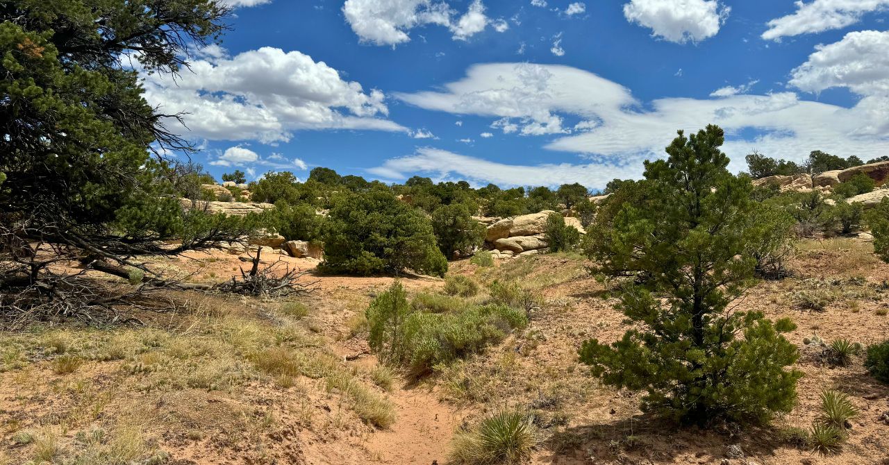 Blog Blog Image Wrap