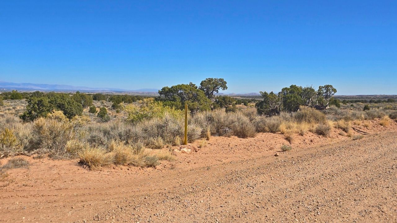 Blog Blog Image Wrap