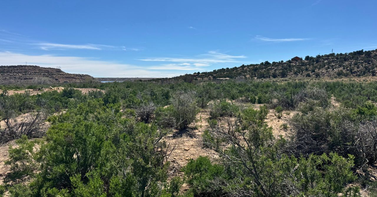 Blog Blog Image Wrap