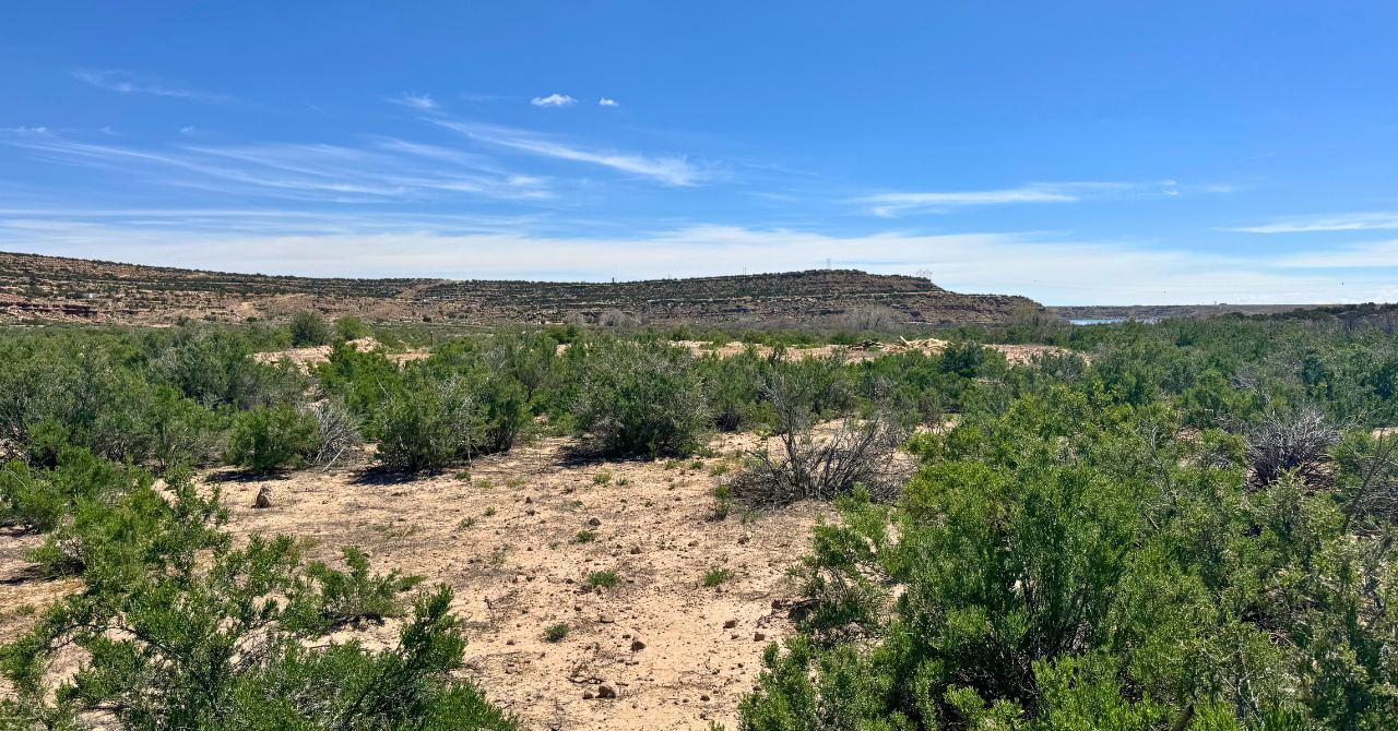 Blog Blog Image Wrap