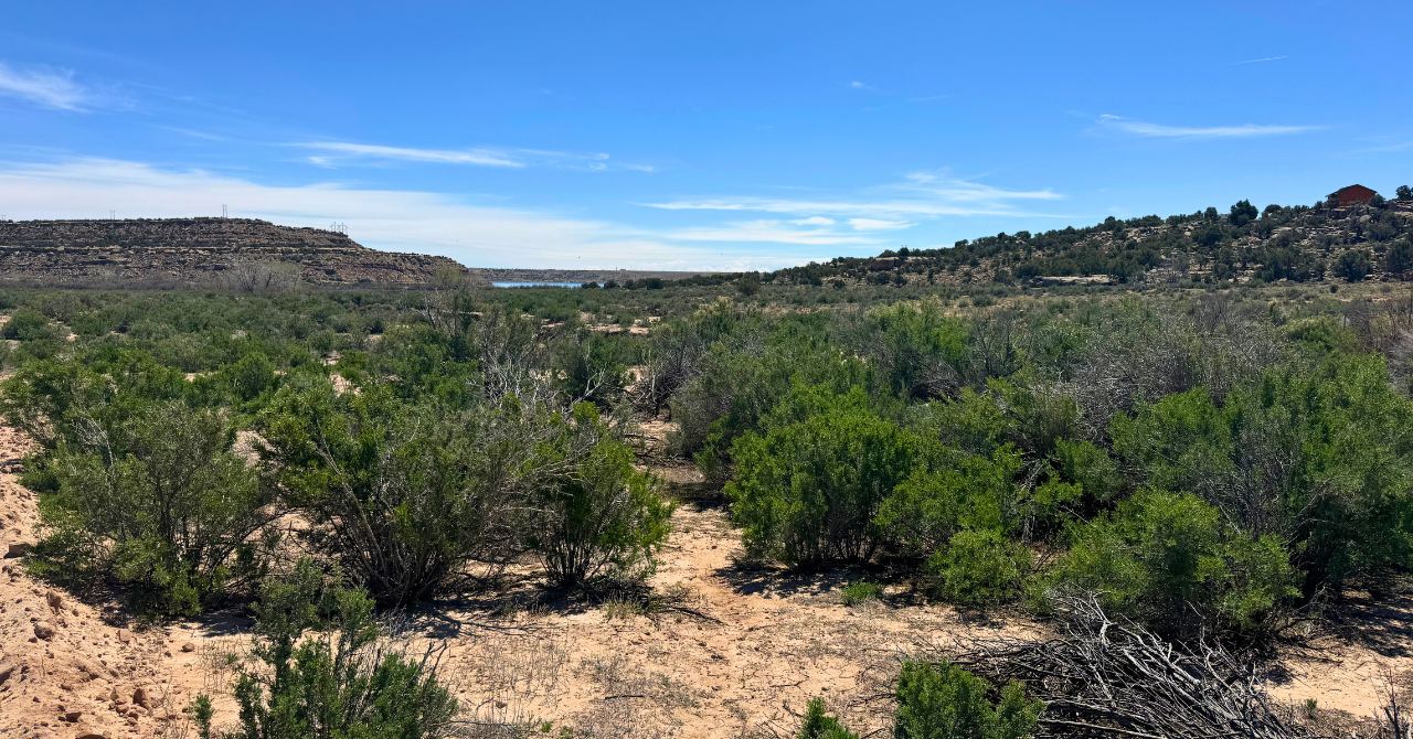 Blog Blog Image Wrap