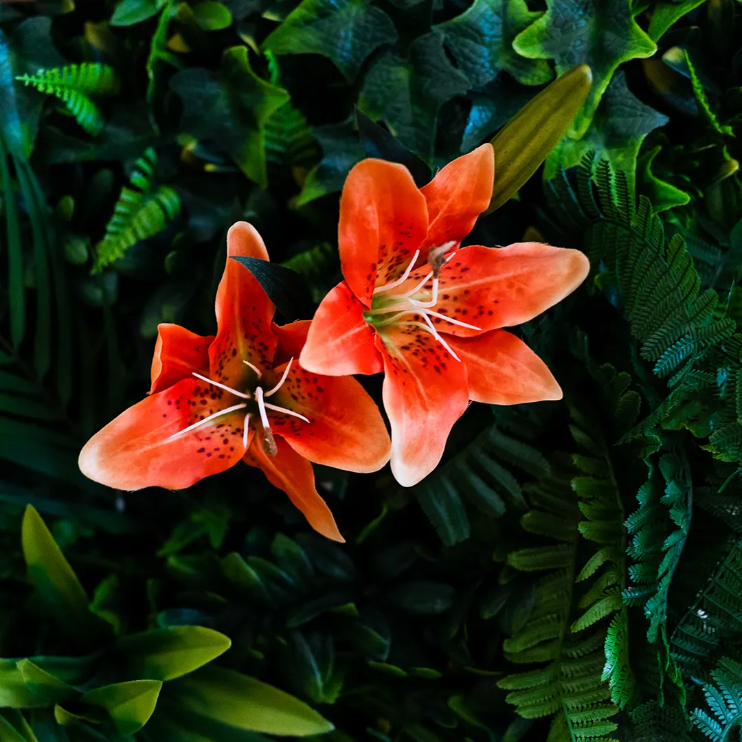 Closeup van oranje lelies verwerkt in een groene kunstplantenwand van MiVerde