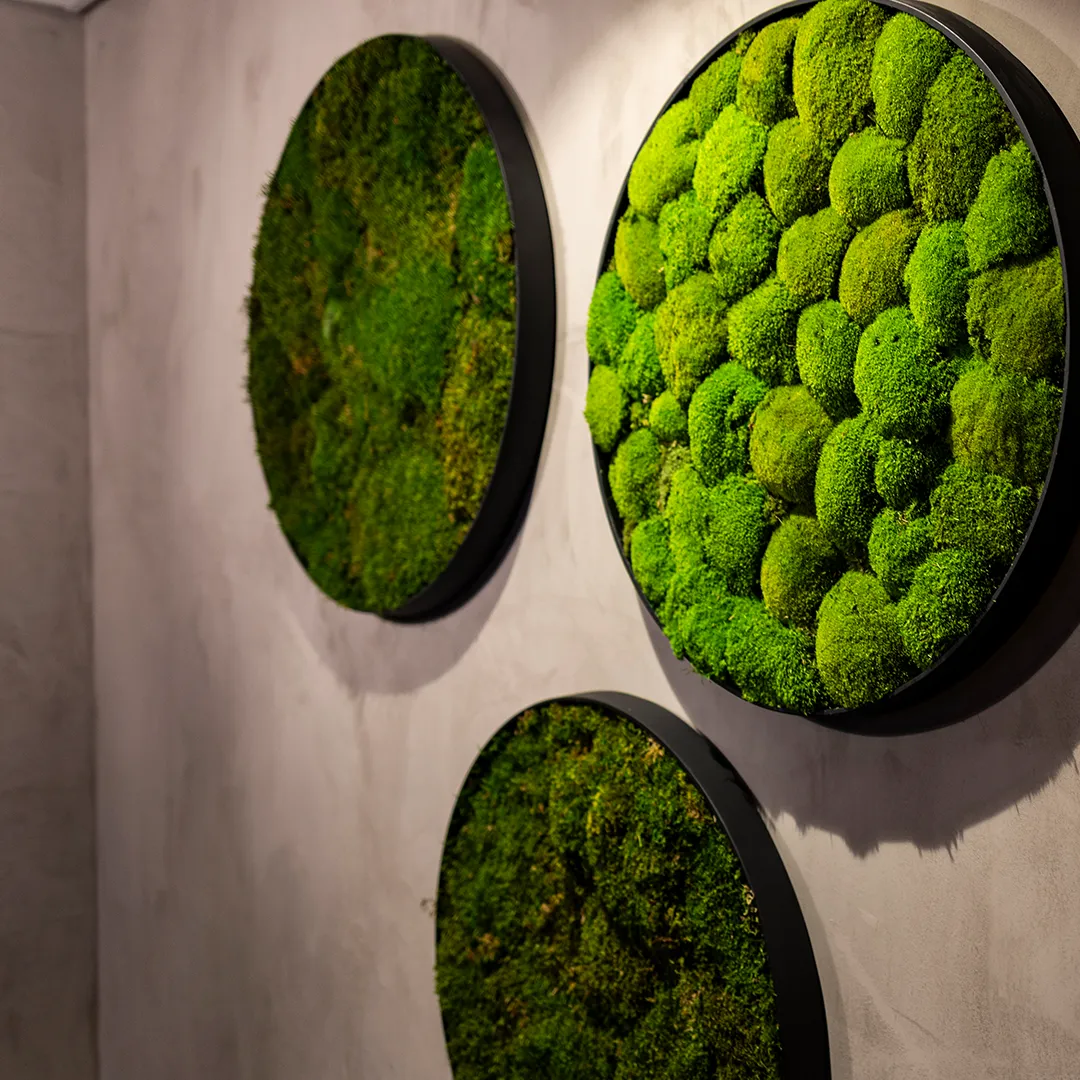 Ronde mosschilderijen met plat- en bolmos in zwarte lijst als decoratieve wanddecoratie, van MiVerde