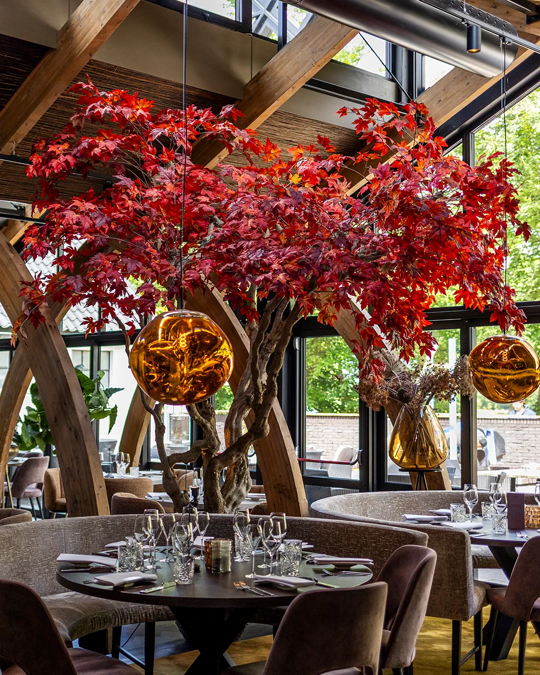 Groencreaties rode herfstboom als blikvanger in modern restaurant met houten balken en glazen ramen