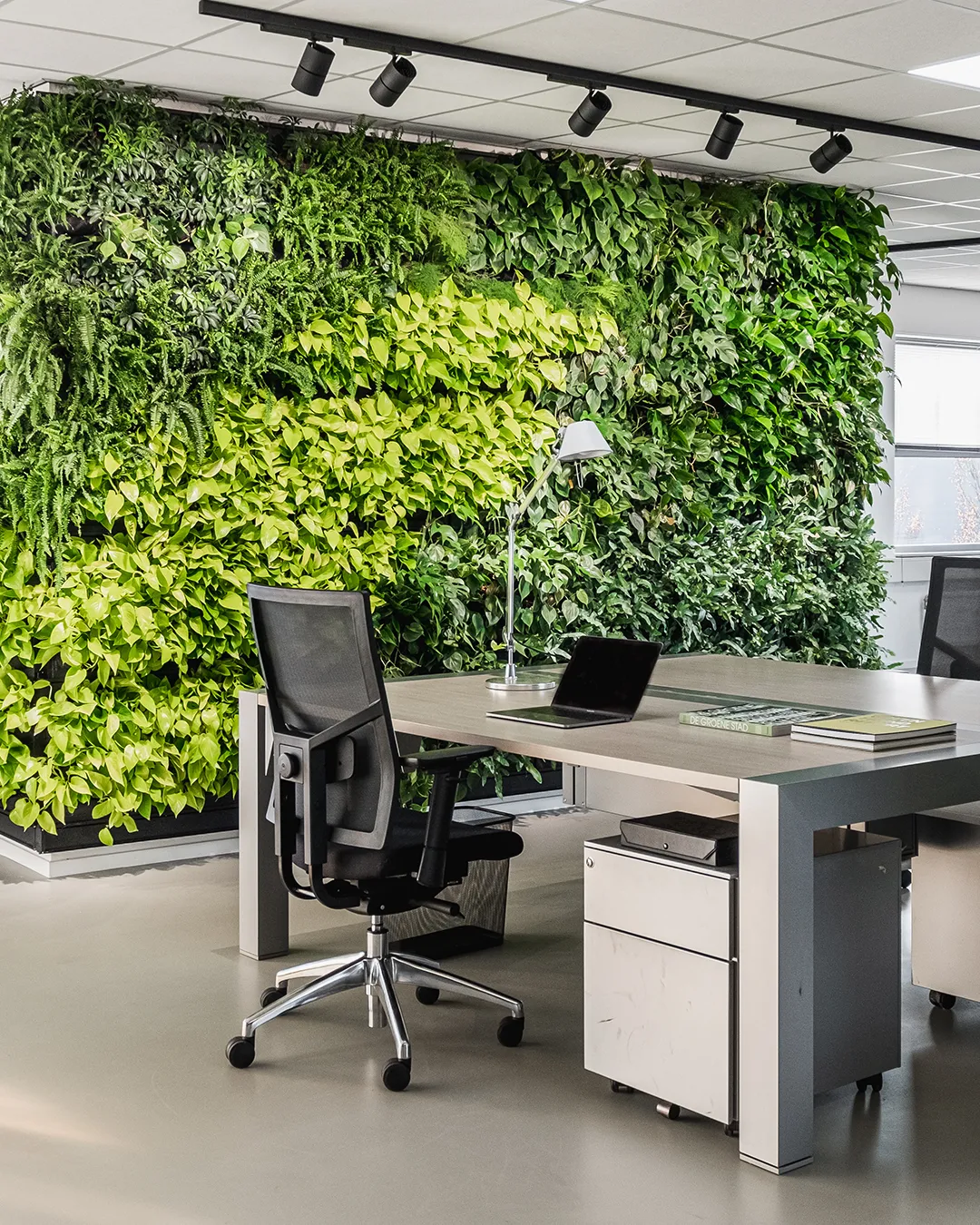 Groene plantenwand achter bureau in modern kantoor met ergonomische stoel en natuurlijke werksfeer