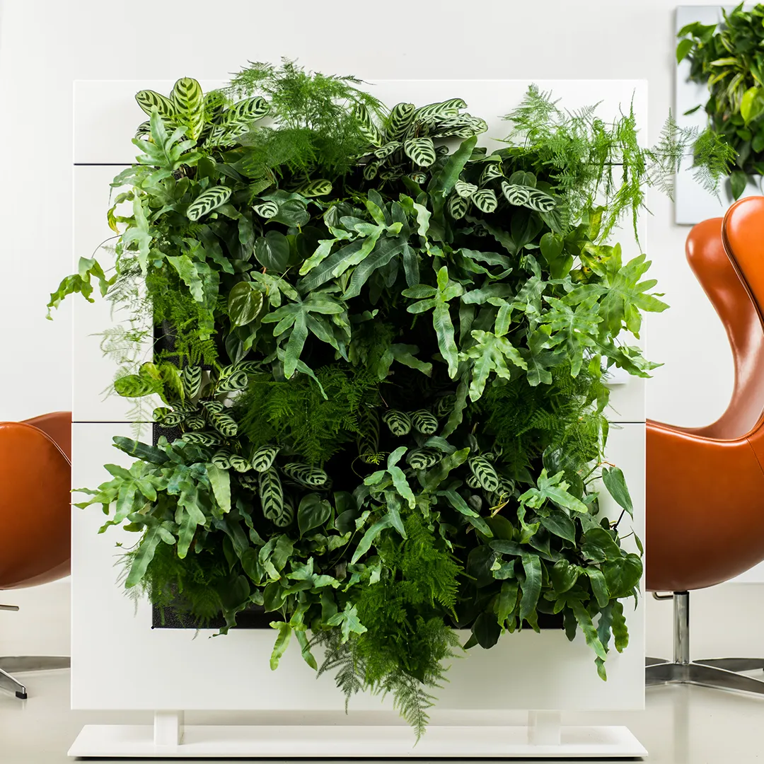 Verticale plantenwand met groene kamerplanten in modern wit frame voor kantoor of woonruimte