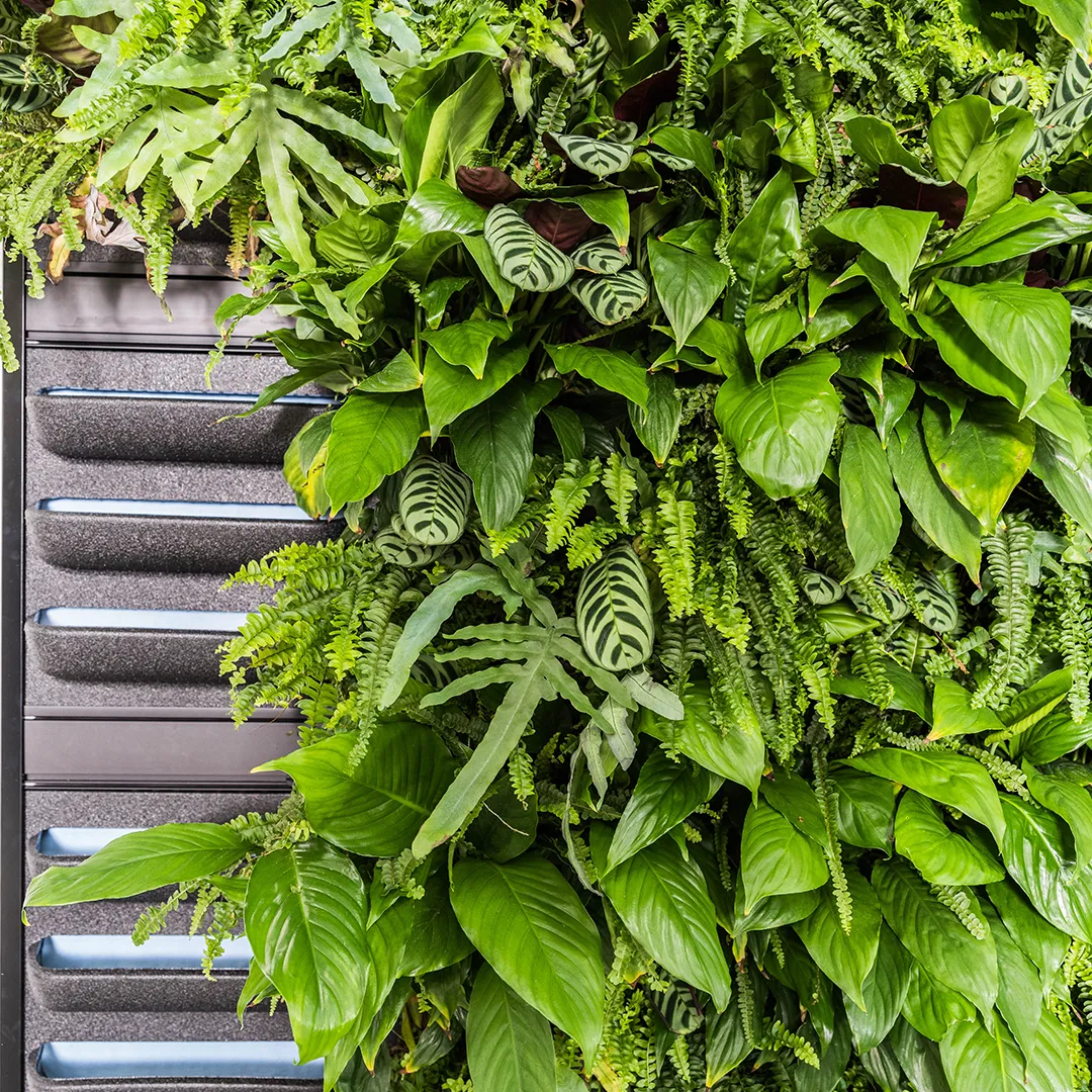 Verticale plantenwand met groene tropische planten en varens in modern kantoorinterieur met grote ramen