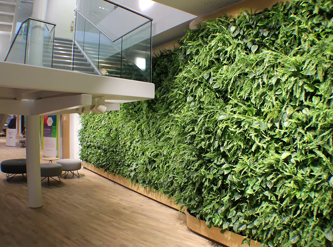 Groene verticale tuin als plantenwand in modern kantoorgebouw met glazen trap en houten vloer
