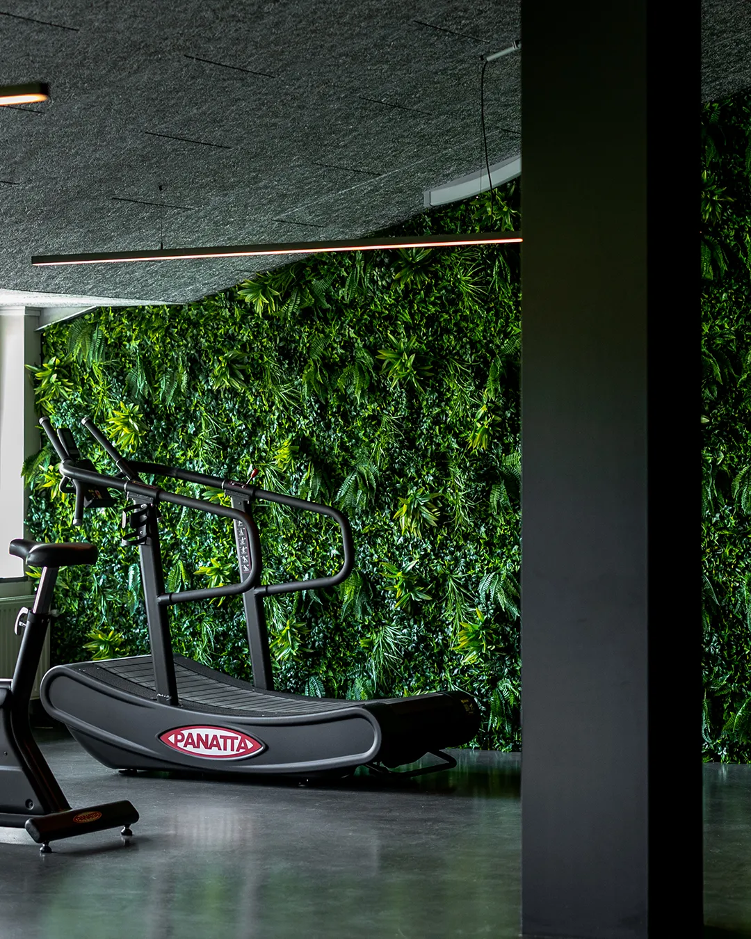 Panatta loopband in moderne sportschool met groene verticale plantenwand en industrieel plafond