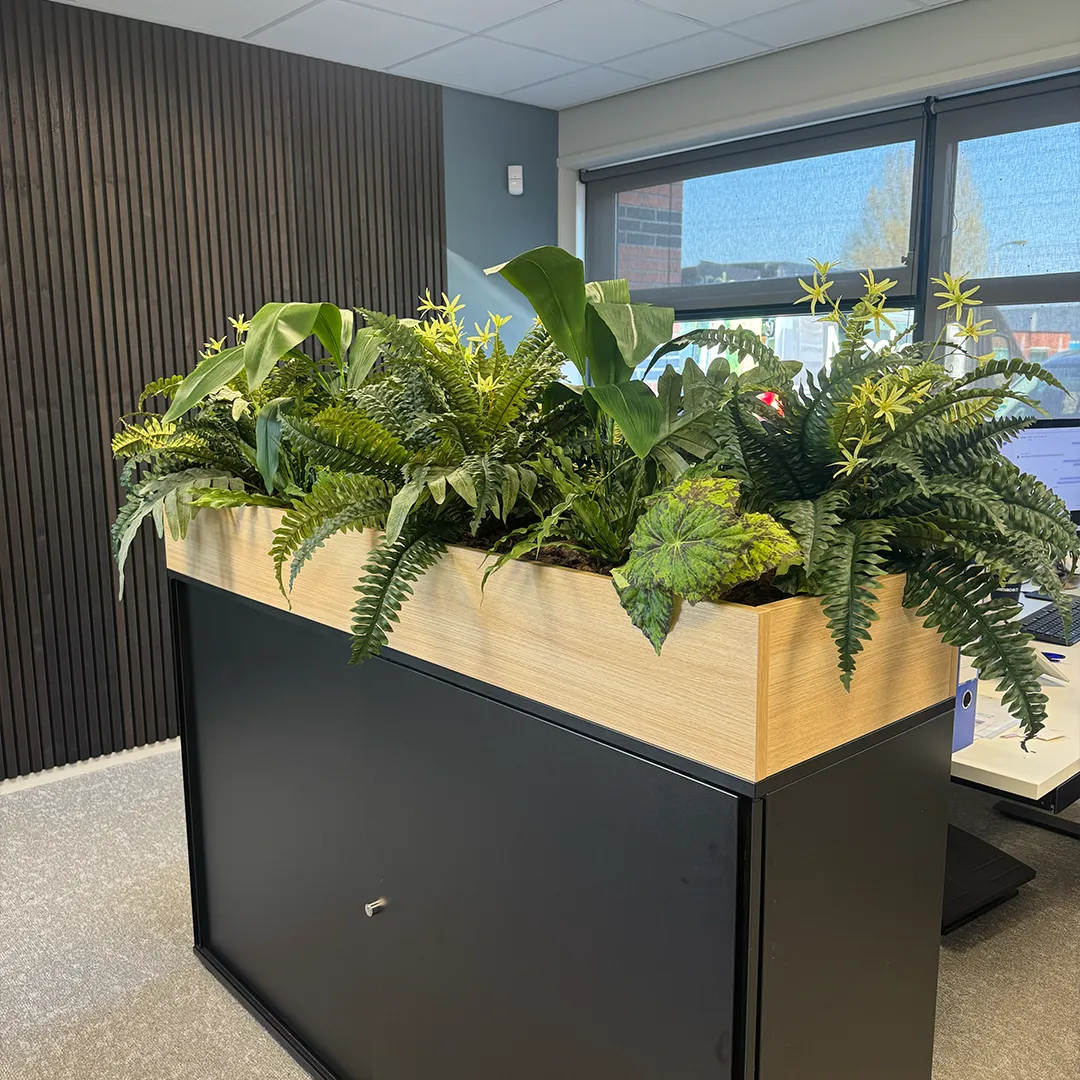 Moderne plantenbak met tropische planten en varens in eigentijds kantoorinterieur met natuurlijke daglicht