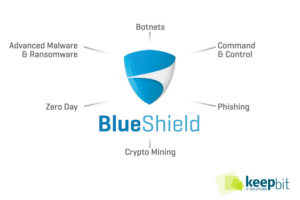 Blueshield Logo und Aufgabenbereiche dargestellt