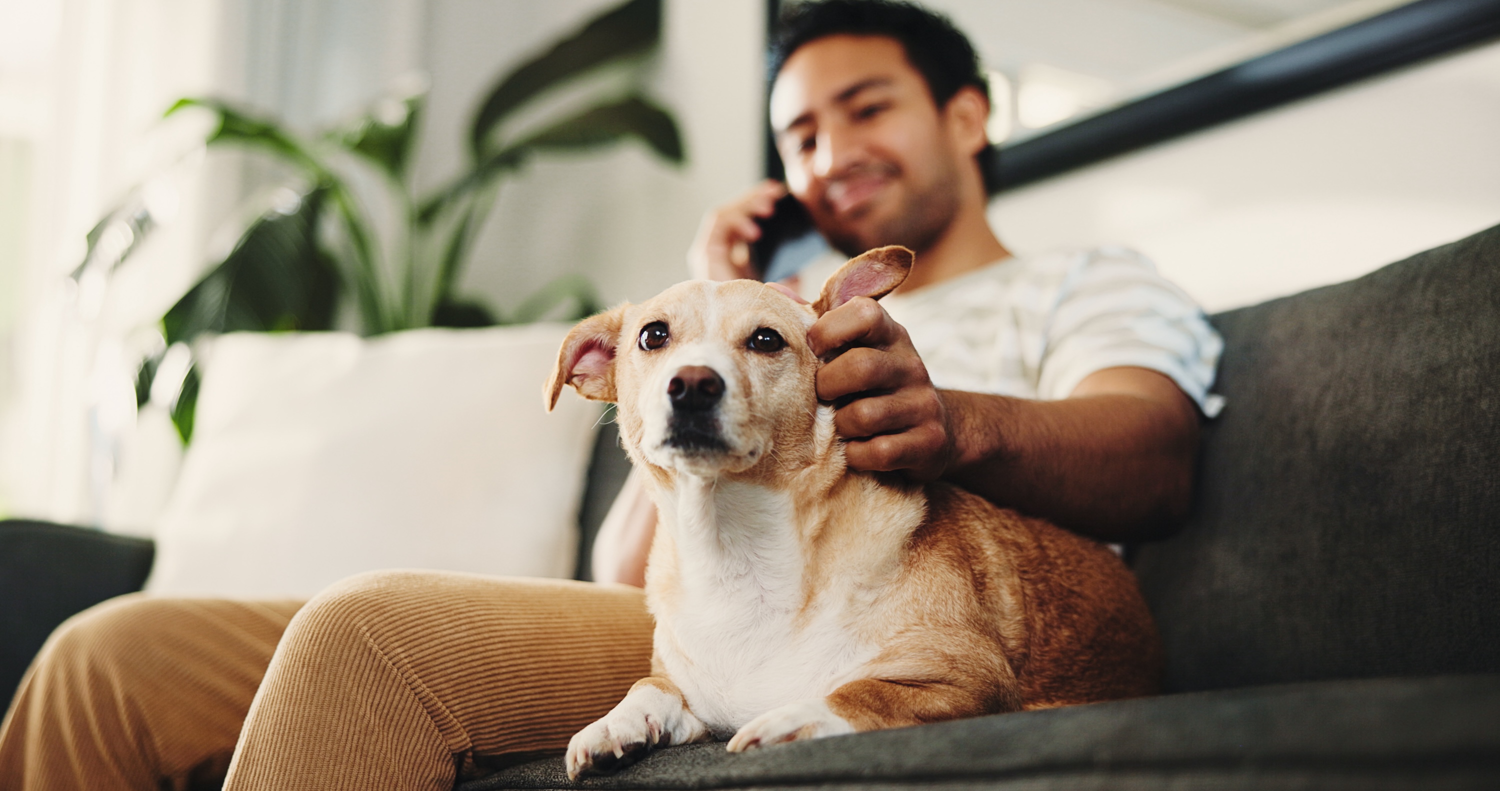 A resident petting a dog while on the phone inside a living room at Alvarado House in Los Angeles, CA.