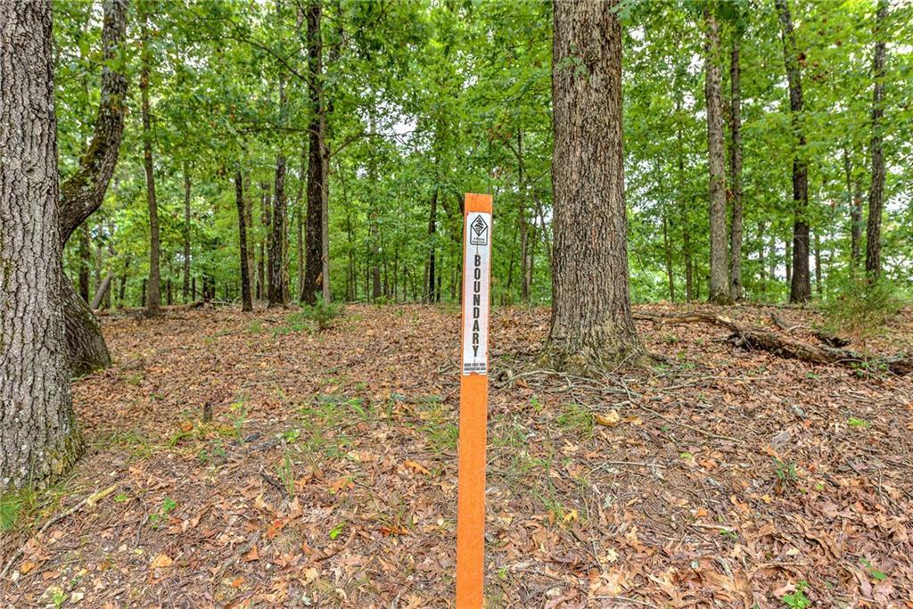 18772 Davis Road Beaver Lake