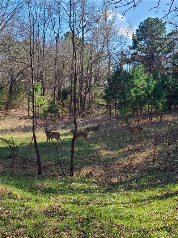 18772 Davis Road Beaver Lake