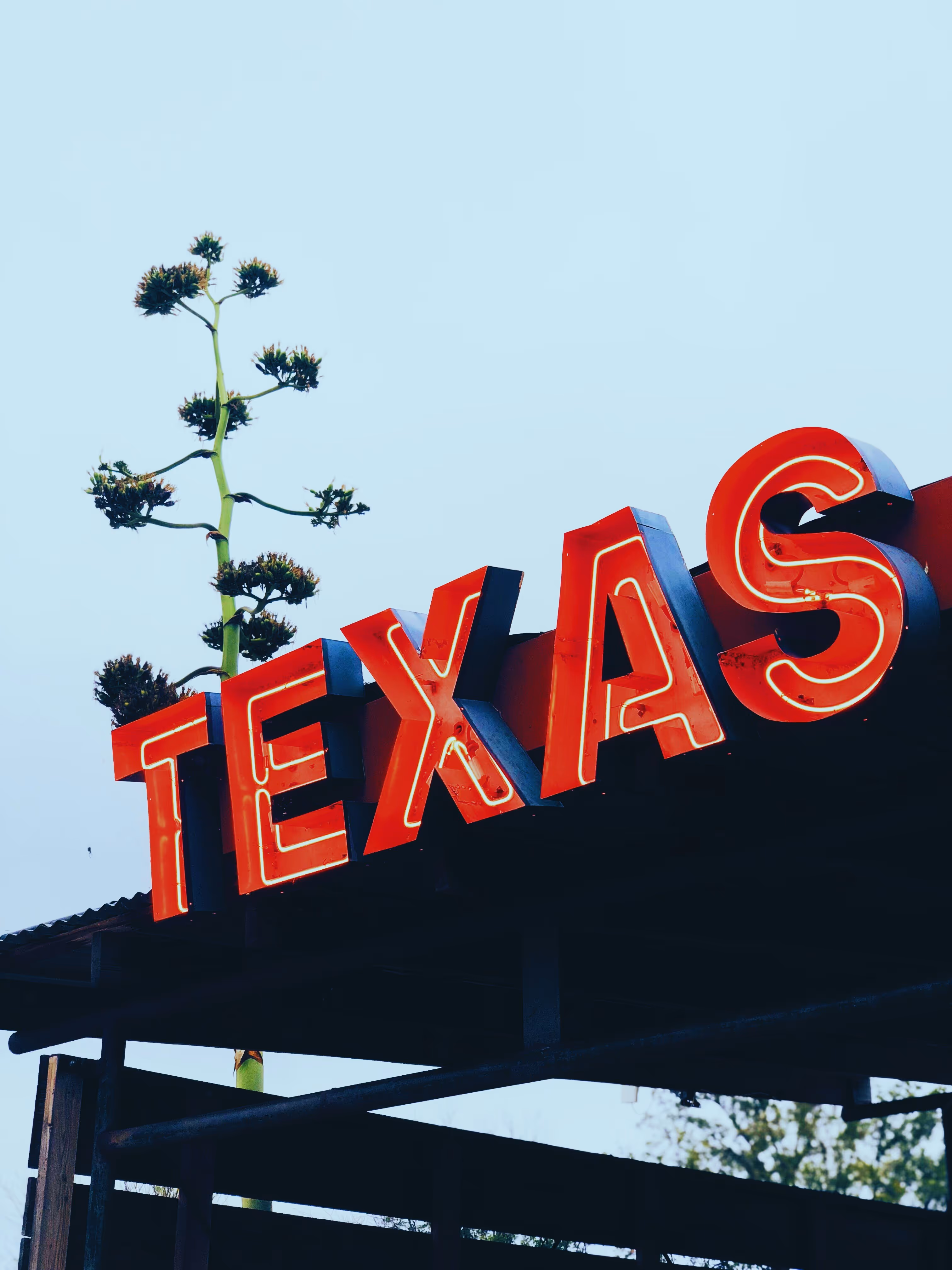 A red neon TEXAS sign on a rooftop against a pale blue sky.