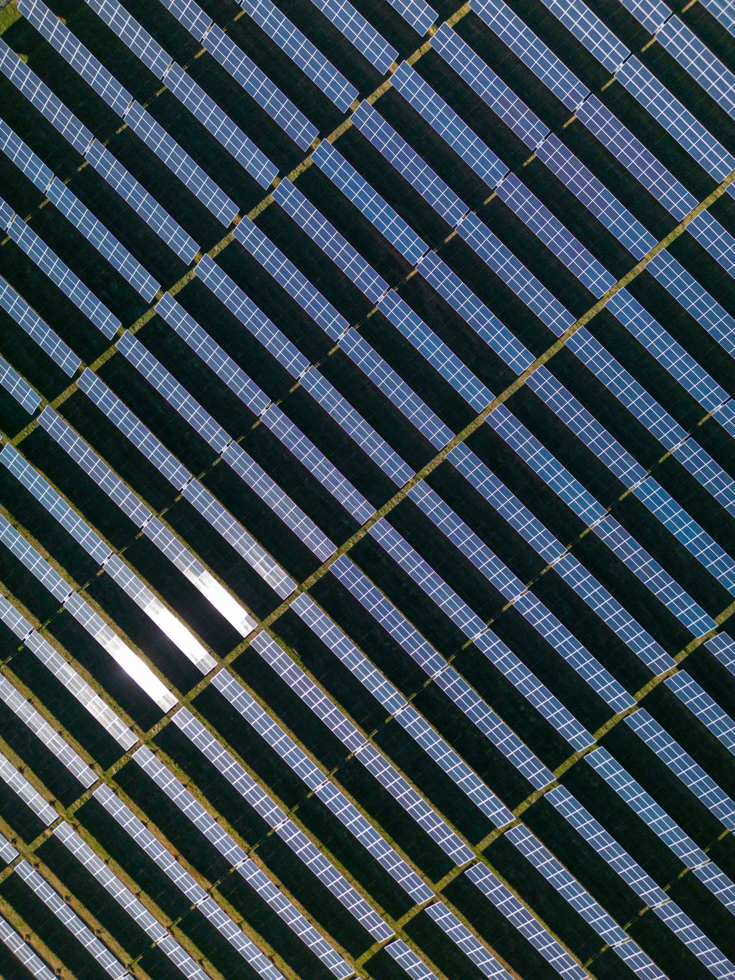 Aerial view of a large solar panel farm with rows of blue photovoltaic panels arranged diagonally on green grass.