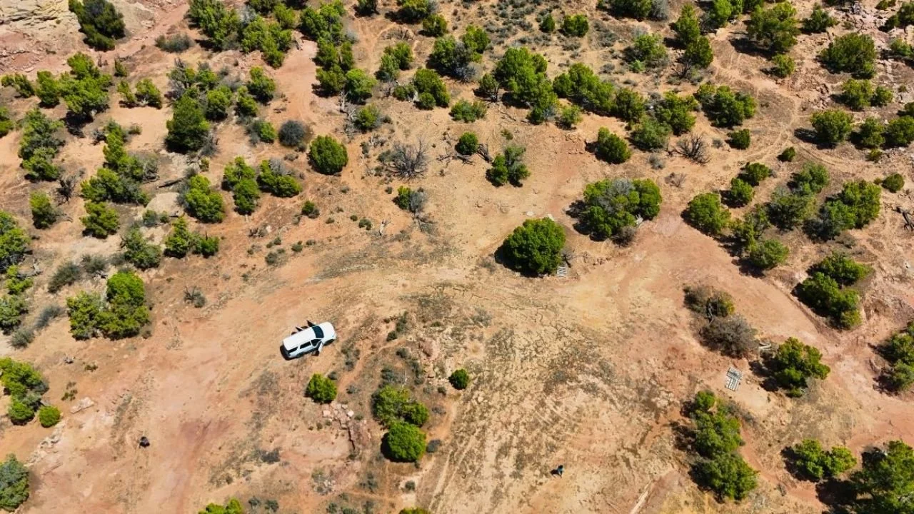 Aerial view of a white vehicle on a dirt road surrounded by sparse vegetation and scattered trees, illustrating land suitable for development near Utah's expanding college campuses.