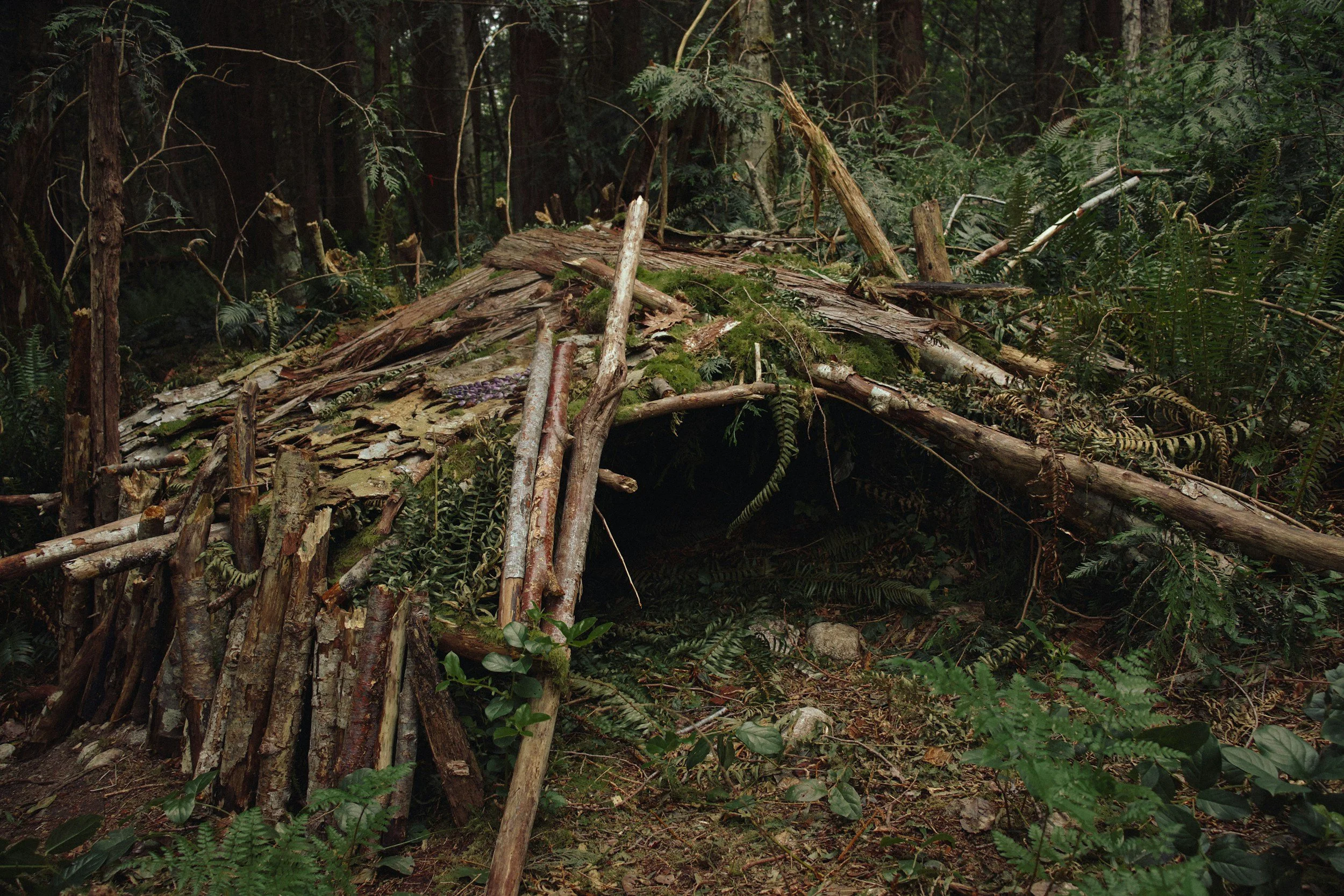 natural shelter
