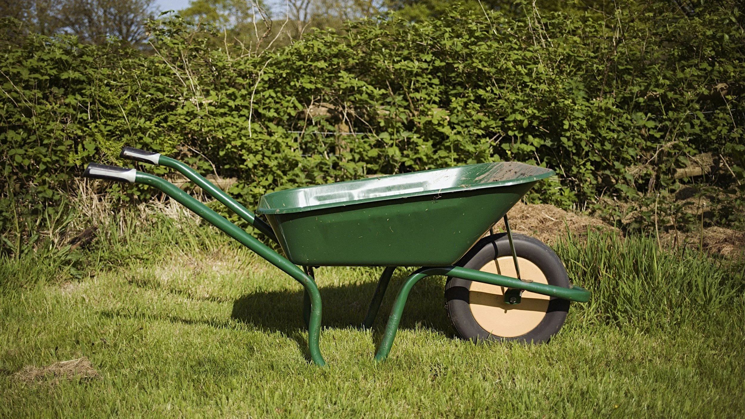 Green wheelbarrow on grass, surrounded by brush, illustrating essential tool for clearing land and maintaining usable property.