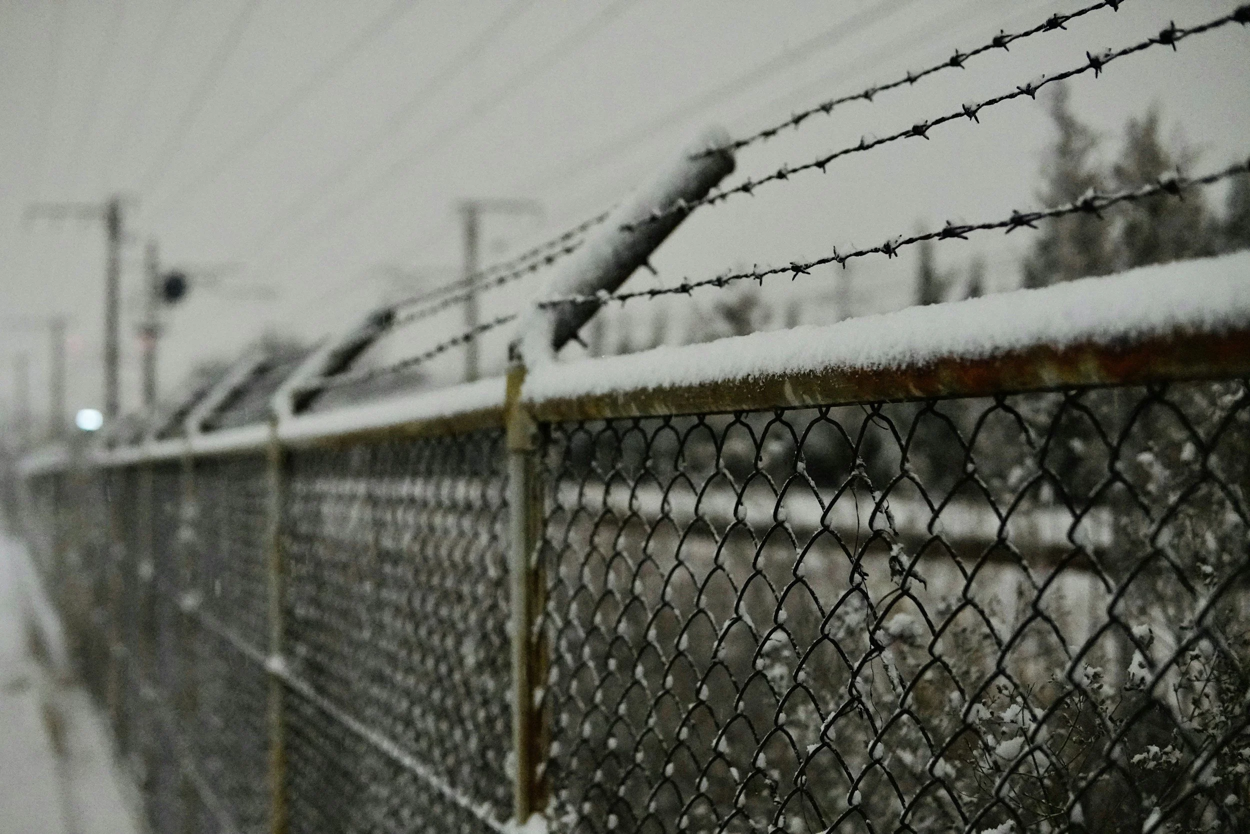 barbed wire fence